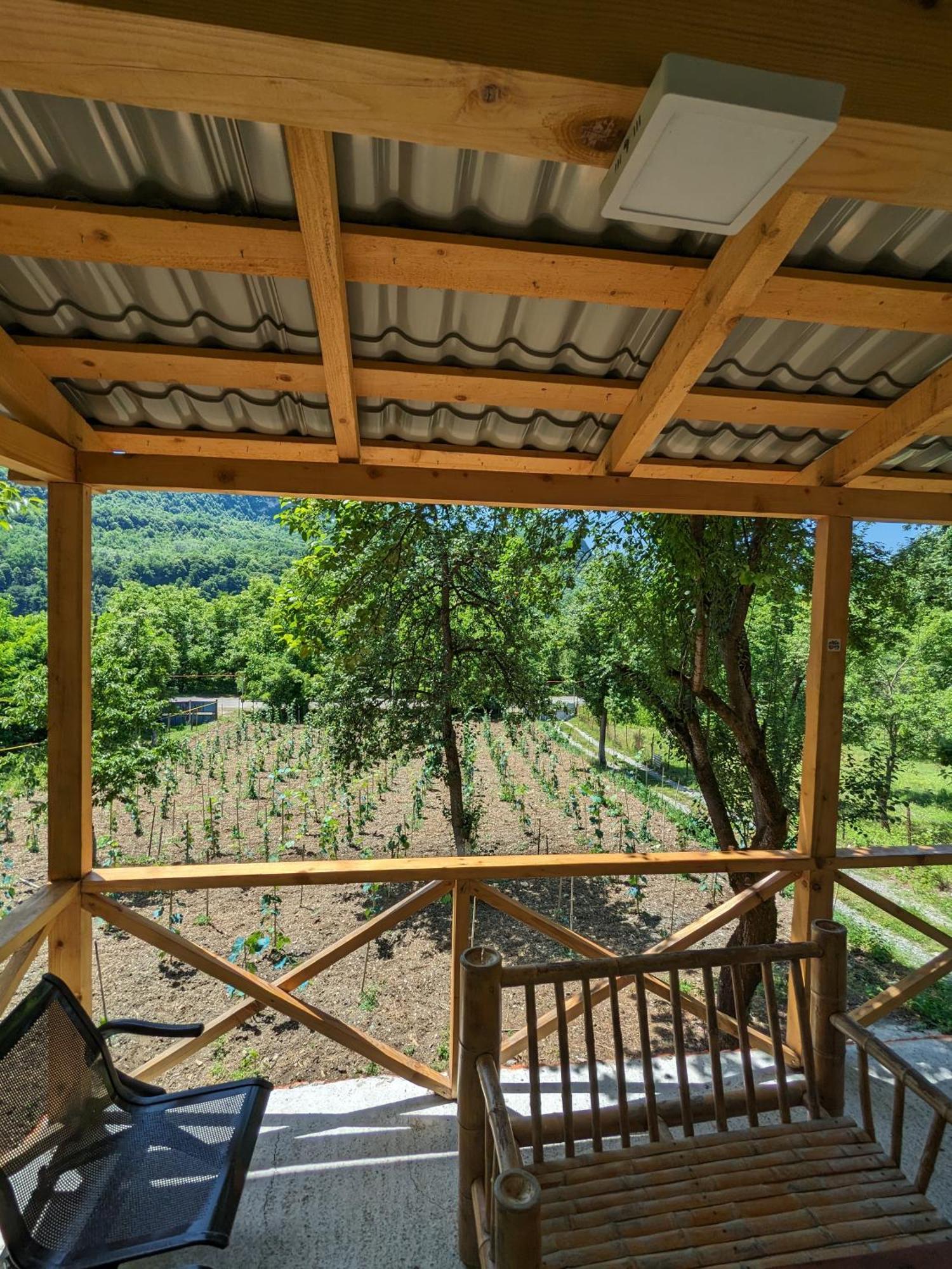 Kipiani Guest House Ყიფიანის Სახლი Khvanchkara المظهر الخارجي الصورة