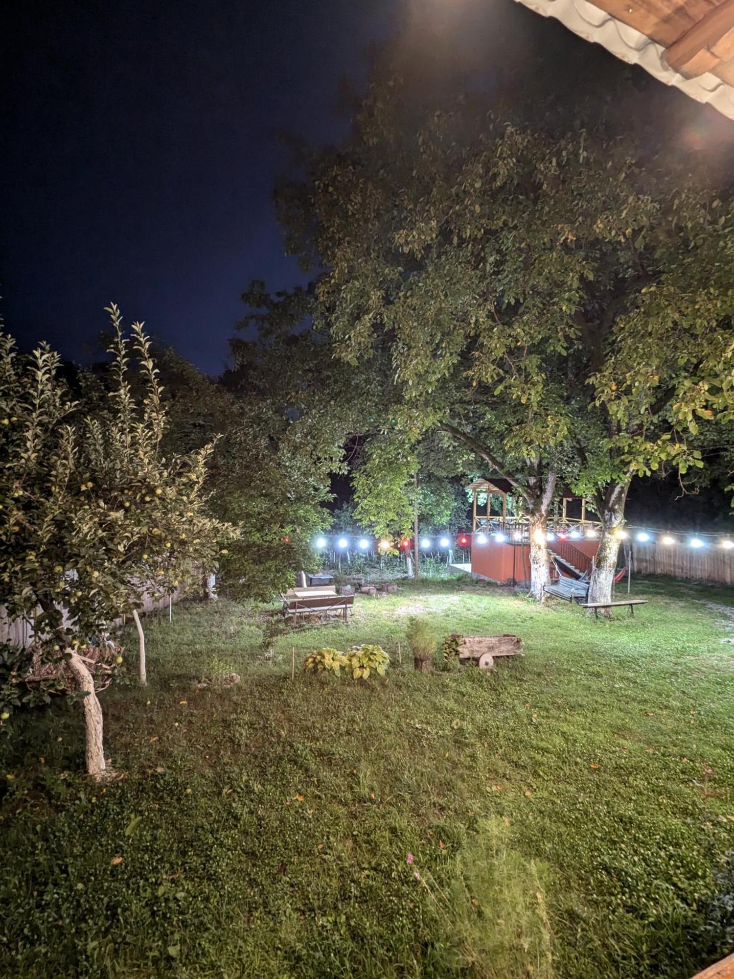 Kipiani Guest House Ყიფიანის Სახლი Khvanchkara المظهر الخارجي الصورة